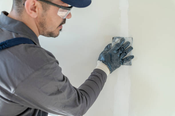 Best Commercial Mold Inspection  in Van, TX