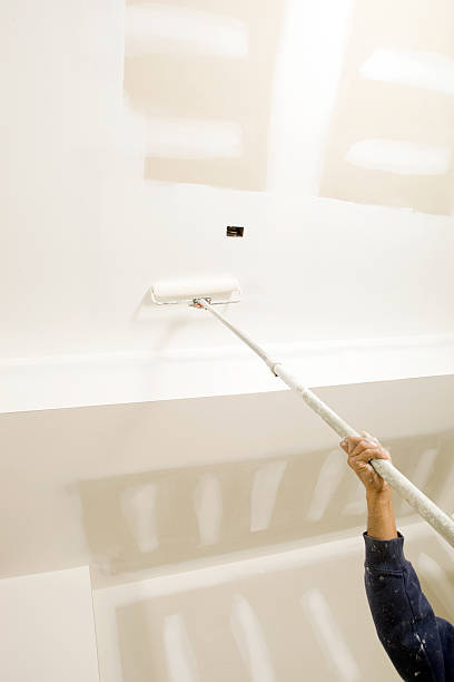 Best Black Mold Removal  in Van, TX