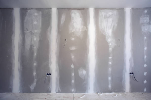 Van, TX Mold Removal Company